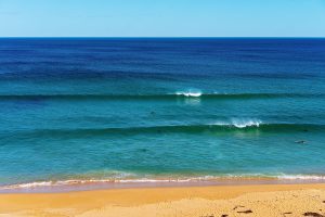 33917006_surfing-at-logans-beach-australia
